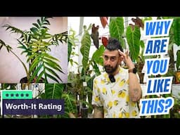🤯10 Gorgeous House Plants That Are Pure CHAOS