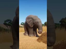 Something's Off About This Baby Elephant… But It’s Adorable 🐘💛