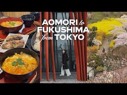 spring in aomori, kakunodate, fukushima onsen & park 🌸 5 days jr east pass tohoku japan travel vlog