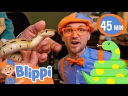 Blippi ENCOUNTERS a Silly Snake🐍 | Blippi & Meekah Challenges and Games for Kids
