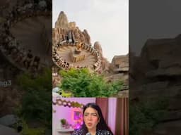 🤯Scary Rides I’ve Ever Seen 🤯😱😱 #theresa_oyao #trending  #trendingshorts