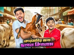 রাকিব গরুর হাট থেকে কিনে আনলো VIP ছাগল 😂 | Qurbani Gorur Haat 2025 | Rakib Hossain