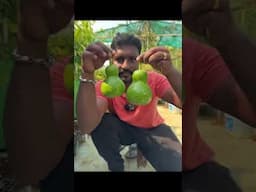 உண் கண்ணு பட்டா கானா போகும் புயலு । மாடி தோட்டமும் மகத்தான அறுவடையும்