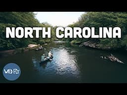 High Country Homecoming | Fly Fishing Hidden Appalachian Trout Streams
