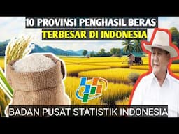 10 Provinsi Penghasil Beras Terbesar di Indonesia 2025.