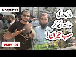 lalukhet sunday birds market latest update 13-04-2025 | All birds Price 2025