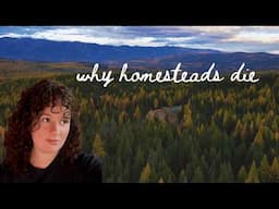 Don't Destroy Your Homestead | What Ruins Dreams | 17 Specific Changes to Try