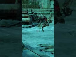 Gears of War ragdolls are just built different #shorts #twitch #funny #gears #gearsreloaded #gow
