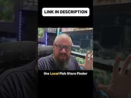 Find Your Local Fish Store Easily!
