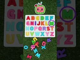 ABC Song with Wooden Letters 🔠 #cocomelon #abc #learning #shorts