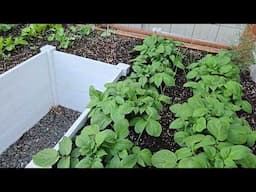 Garden Walk & Talk