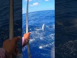 #fishing #poleandline #skipjacktuna #onebyone #shorts