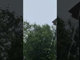 Rain 🌧️ #shorts #rain #rainsounds #rainfall #rainyday #raining #gloomy #thunderstorm #storm #calm