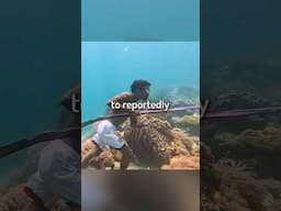 The "Fish People" that Live, Breathe, & Hunt Underwater...