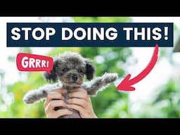 What to Do If Puppy Doesn't Like to be Carried