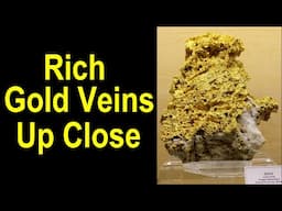 Discover Rich GOLD ores: Examples up Close