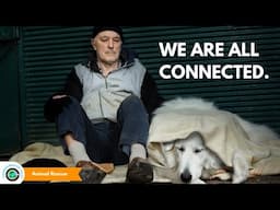 How Poverty and the Animal Rescue crisis are connected | Animal Rescue #4