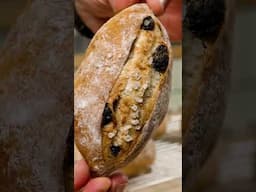 50+ Bread recipes for you