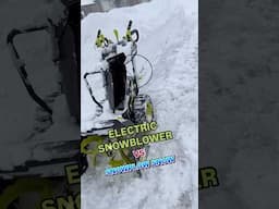 ELECTRIC SNOWBLOWER vs SNOWPLOW leftovers