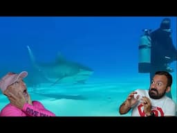Divers React to Tiger Shark approaching diver from behind
