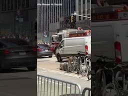 Bees swarm in Manhattan