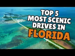 Top 5 Most Scenic Drives in Florida You’ve Gotta Do at Least Once