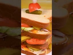 Scooby Doo Huge Sandwich