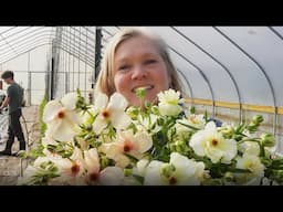Growing Sweet Peas | Trellising and Propagating  | What's Blooming Tour