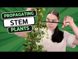 Propagate Stem Plants with Me