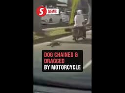 Biker seen dragging dog by chain in viral video