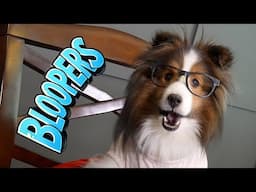 My Dog is VERY Superstitious! e404 Blooper Editon!