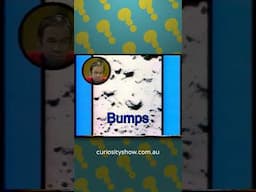 Bumps and hollows illusion