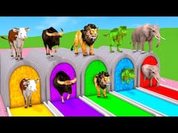 Long Slide Game With Cow Elephant Mammoth Gorilla Tiger Dinosaur - 3d Animal Game - Funny 3d Animals