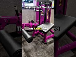 LYING LEG CURL MACHINE TUTORIAL 🦵🏼// Lie down and work the hamstrings. #legworkout #planetfitness