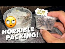 Had to do this quick TARANTULA UNBOXING to claim if Death on Arrival ..