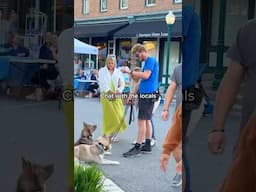 Day in the life of a dog trainer #dogs