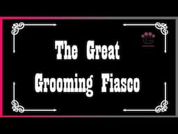 Chewy the Black Lab stars in The Great Grooming Fiasco!
