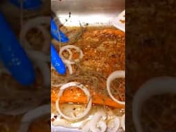 Honey Glazed Salmon