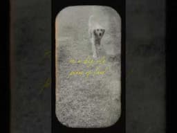 Dream I Never Had- Cory Asbury