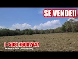 PRECIOSO TERRENO CON RÍO EN SAN ANDRÉS  1 82  MANZANAS CON ACCESO VEHICULAR