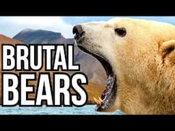 Ranking All 8 Bear Species By The Largest Animals They Prey On