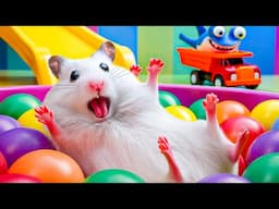 😱 Hamster vs Toy Shark - The Great Hamster Ball Pit Escape