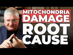MITOCHONDRIA DAMAGE: Symptoms, and Hidden Root Causes | Dr. Anderson