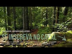 2 HORAS com Sons da Natureza: Pássaros, Água Corrente, Riacho (HD)