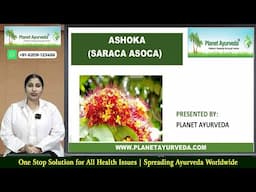 Ashoka (Saraca asoca) Health Benefits, Therapeutic Properties, Part Used, Dosage & Full Information
