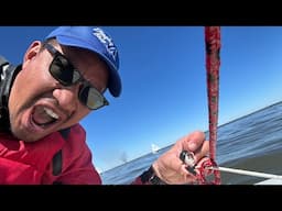 How to switch from 2 to 1 main sheet to regular main sheet in Sunfish Sailing