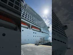 MSC World America is HUGE! #mscworldamerica #msccruises #cruiseship #cruise  #shorts