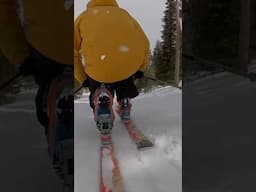 Droppin’ Knees on Vintage Telemark Skis with NTN Bindings #freeheellife #spreadtelemark #skiing