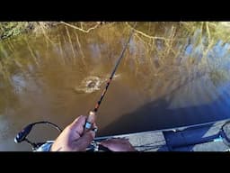 High muddy water CRAPPIE, maybe