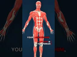🚗💪 Your Body Deserves the Best 💪🚗